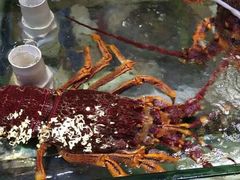 -老字号蛇口德记烧腊饭店·海鲜加工