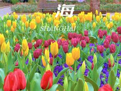 -徐家汇公园