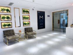 -MIVI野生眉纹绣纹眉