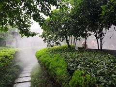 -张家港金凤凰度假村温泉
