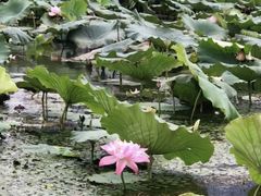 -白塘生态植物园