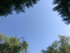 -太平河公园