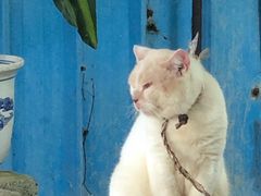 -南沙十九涌渔人码头-南门