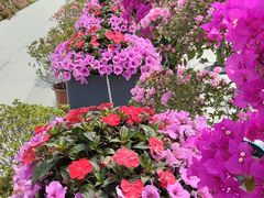 -上海植物园-4号门售票处