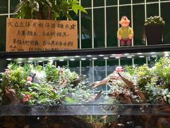-堂屋糖水店(愚园店)