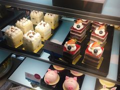 -卡吉诺动物奶油生日蛋糕(中原路店)