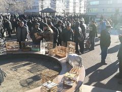 -哈尔滨道外花鸟鱼市场
