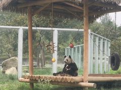 -西安秦岭野生动物园