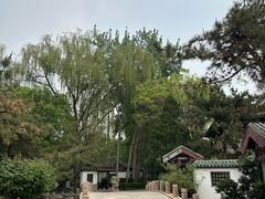 -新川办餐厅