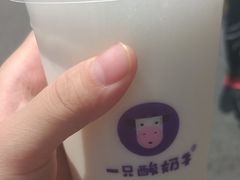 -一只酸奶牛(八一路店)