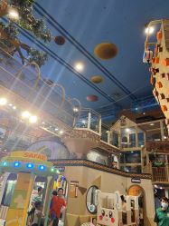 -卡通尼·Safari非洲探索乐园·生日会(金桥国际商业广场店)