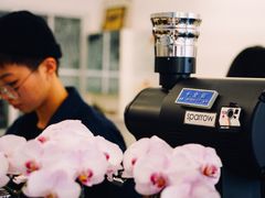 餐具摆设-麻雀咖啡SPARROW COFFEE(十全街店)