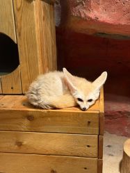 -Zoolung Zoolung动物主题公园(海信广场店)