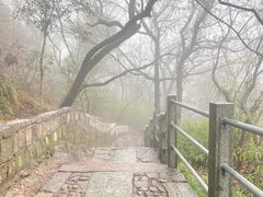 -灵隐飞来峰景区