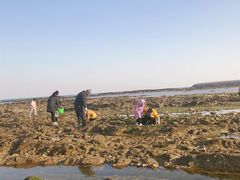 -日照灯塔风景区