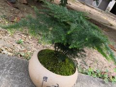 -蚌埠龙虾王