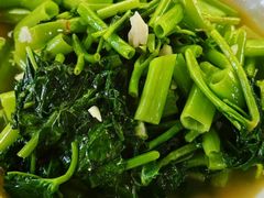 -国生茶庄·地道农家菜团建活动