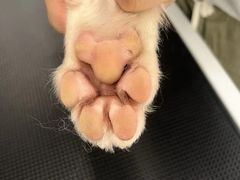 -comecome来吧宠物(奥克斯中心店)