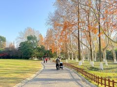 -习家池