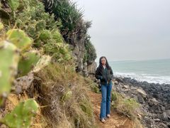 -硇洲岛旅游区