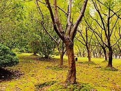 -苏州河梦清园环保主题公园