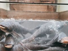 -上名堂·鱼头好吃(体育场路店)