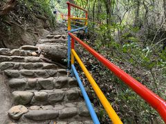 -冠豸山景区
