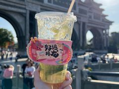 -顺峰山公园