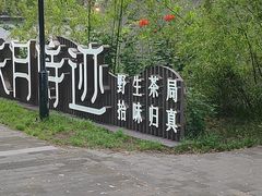 -玲珑塔公园