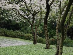 -中国茶叶博物馆(双峰馆区)