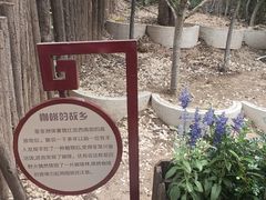 -太阳宫公园