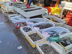 -江杨农产品批发市场