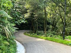 -广州市帽峰山景区