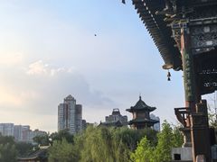 -迎泽公园