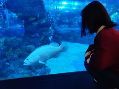 -成都浩海立方海洋公园