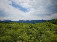 -陶祖圣境风景区