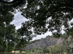 -上海辰山植物园