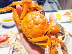 -奔海甄选·活鲜刺身铁板烧自助(太原里店)