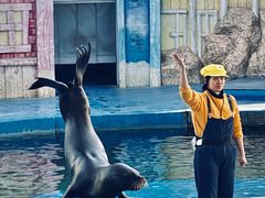 -华夏文旅海洋公园