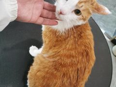 -宠爱国际动物医院(德胜门店)