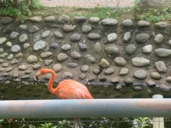 -广东茂名森林公园