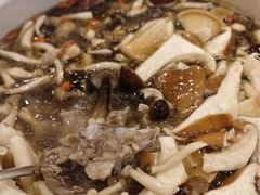 -珍品轩鲜菌火锅(眉山店)