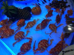 iphone_upload_pic-百合酒店-香榭里自助餐厅