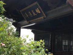 -杭州半山国家森林公园