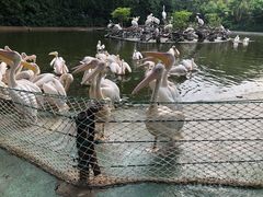 -广州长隆飞鸟乐园