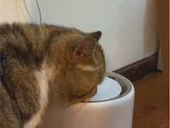 -参差咖啡(水果湖公园店)