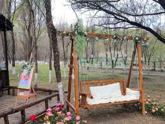 -长白岛森林公园