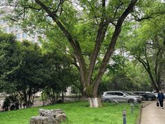 -湖北美术学院(昙华林校区)
