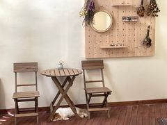 -有猫主题·治愈系猫咖(曾厝垵店)