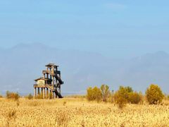 -野鸭湖国家湿地公园